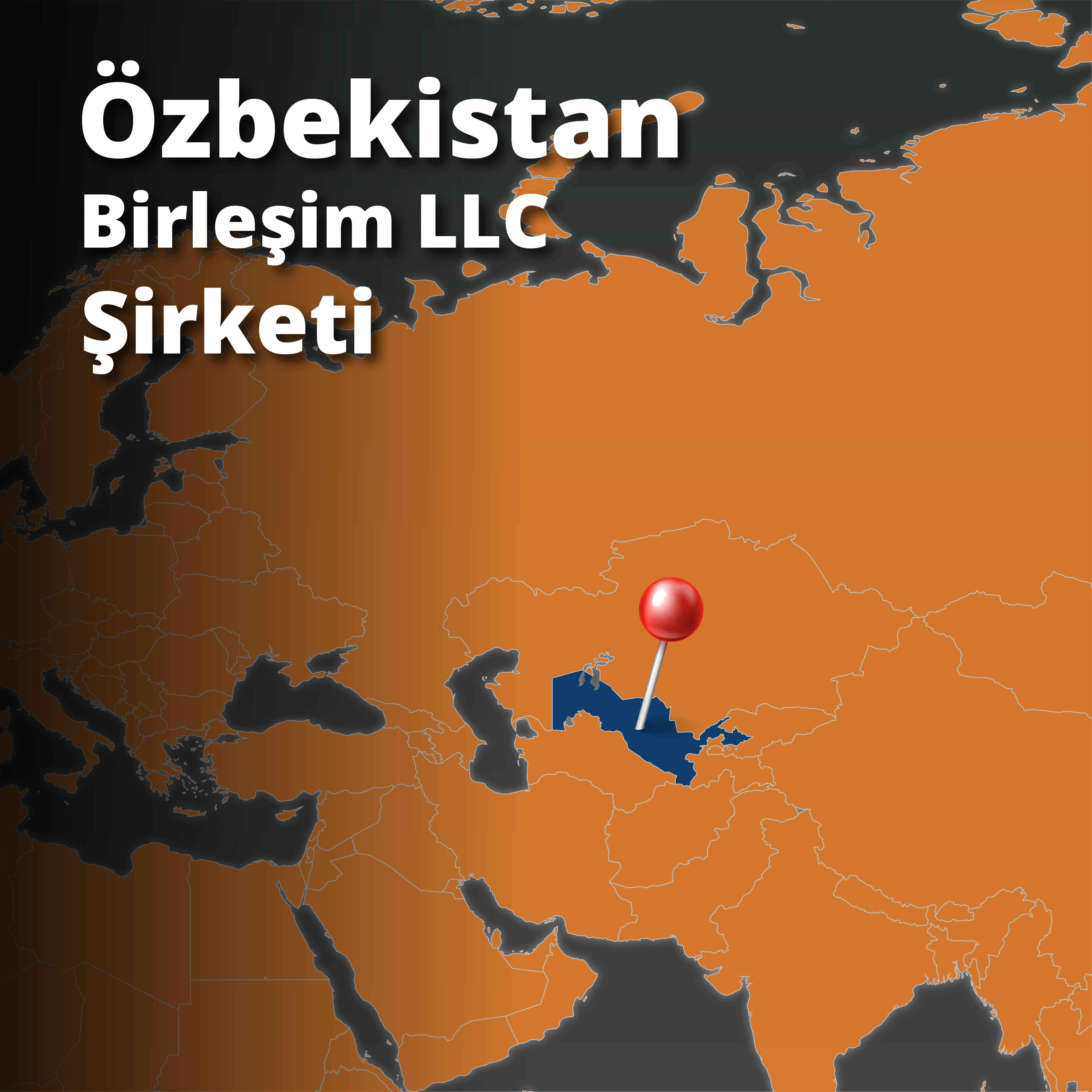 Birleşim Özbekistan LLC Şirketi